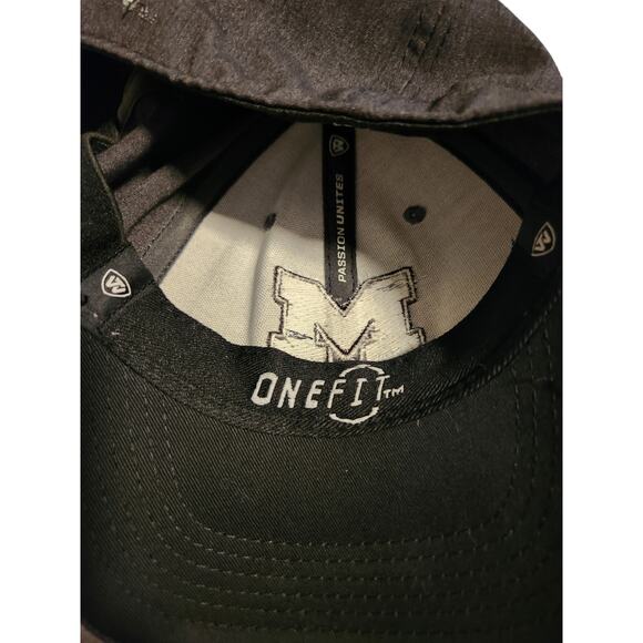Top of the World Michigan U of M Gray Wool Baseball Hat Cap - Picture 7 of 9